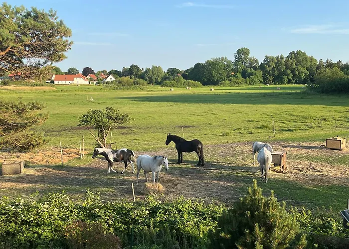 Villa Boddenblick